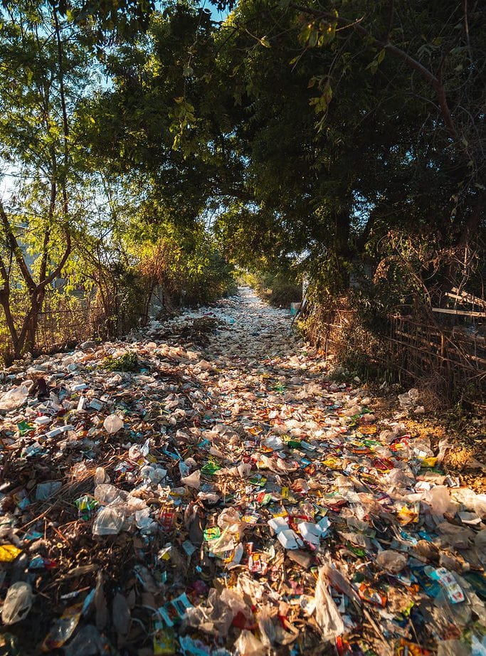 photo of plastics near trees